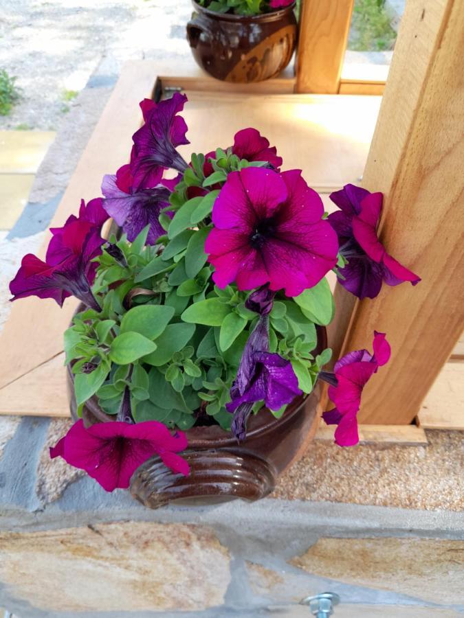 Guest House-Restaurant St. George / Къща За Гости-Ресторант Свети Георги Gabrovo Esterno foto